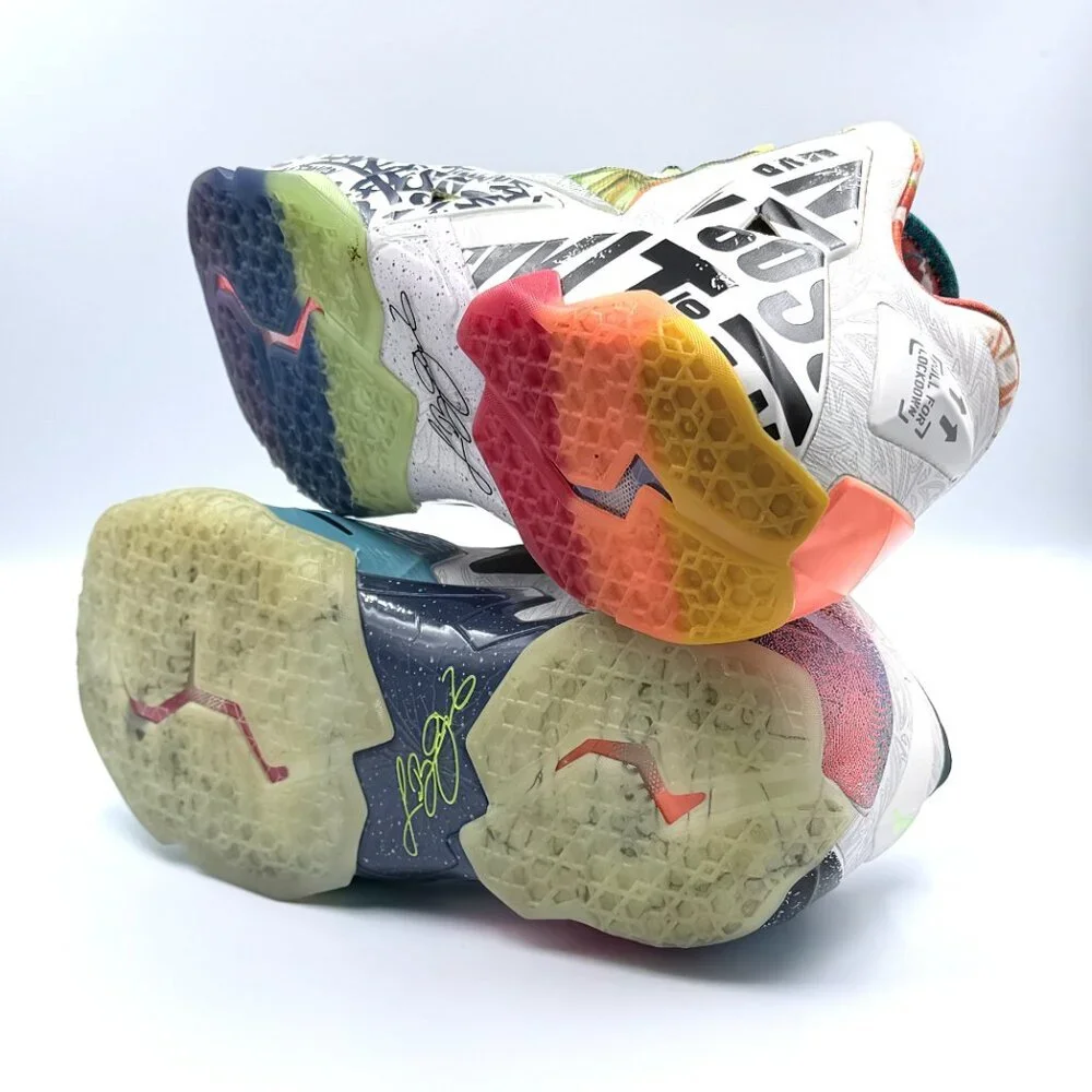 Nike LeBron 11 Premium 'What The LeBron